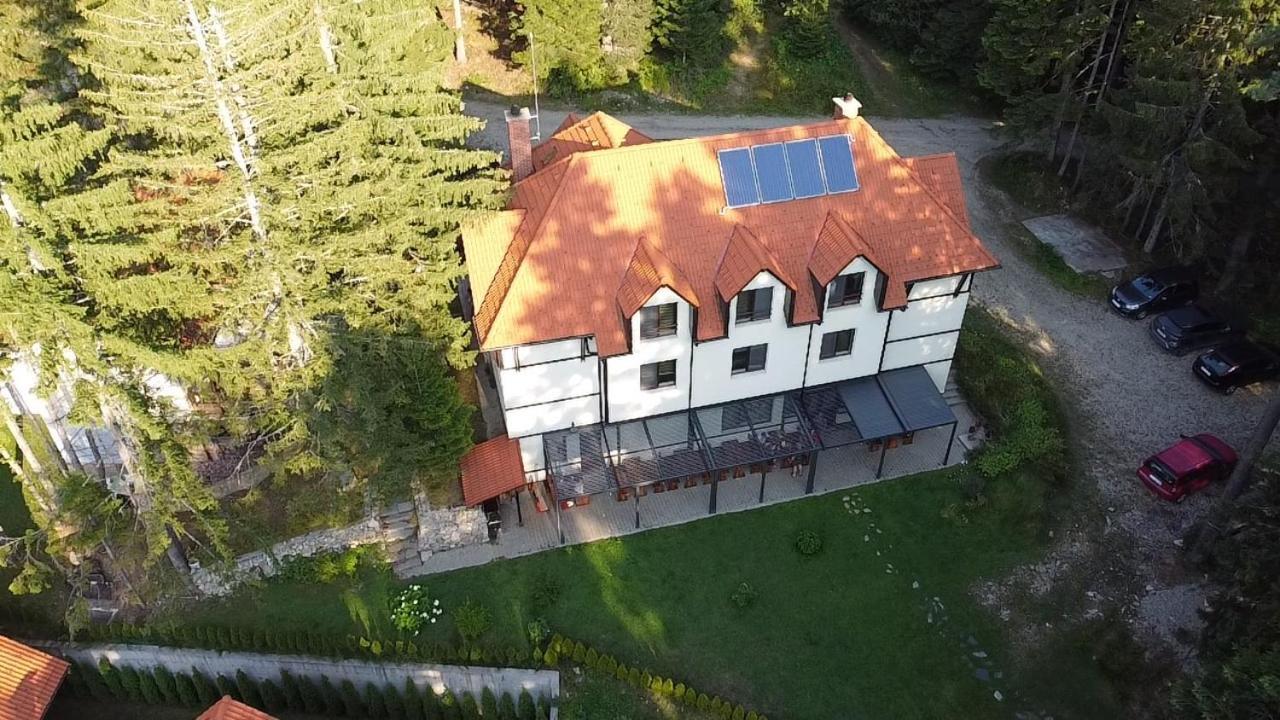 Berghof Eva - Hotel Panichishte Ngoại thất bức ảnh