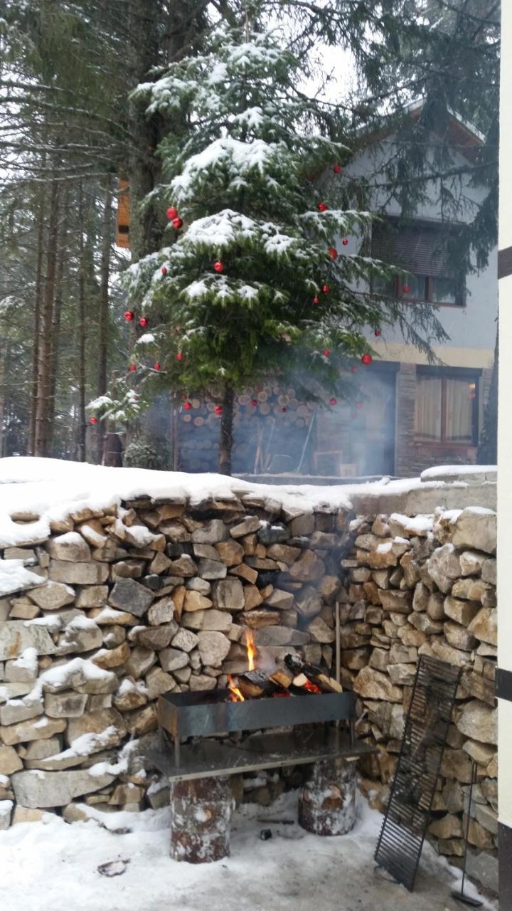 Berghof Eva - Hotel Panichishte Ngoại thất bức ảnh